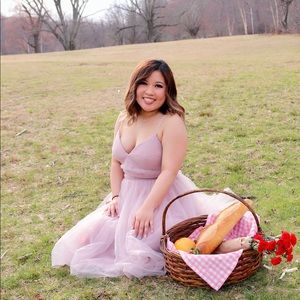 Blush Tulle Fairy Dress True Decadence